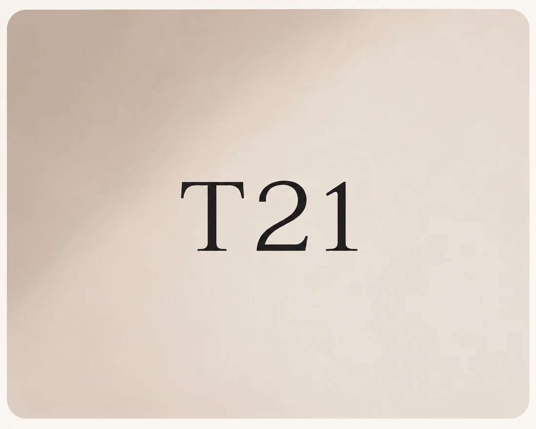Proyecto T21